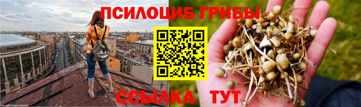 Галлюциногенные грибы Psilocybe  Вход с VPN  Псилоцибиновые грибы MAGIC MUSHROOMS  Магадан 